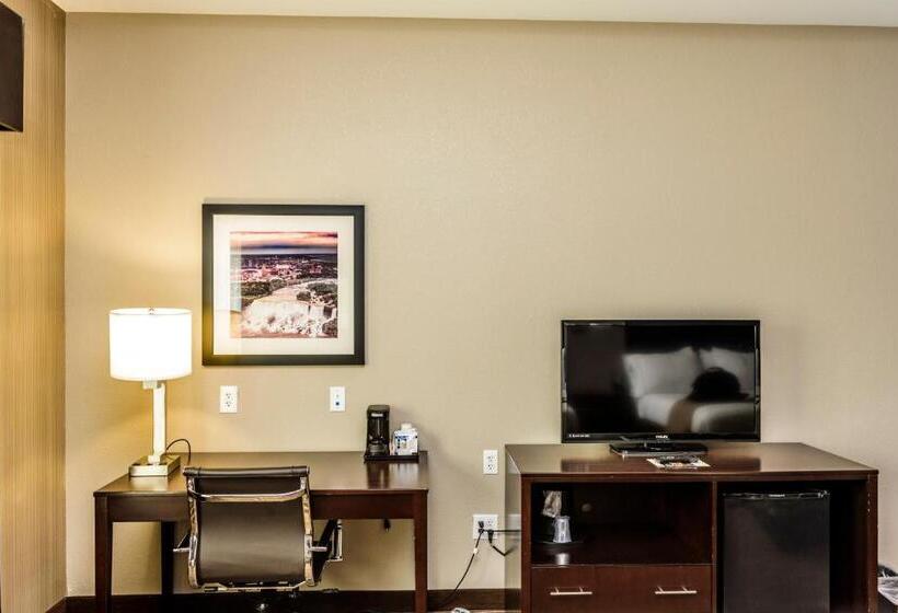 Стандартный Номер Кровать Кинг, Holiday Inn Express & Suites Cheektowaga North East, An Ihg