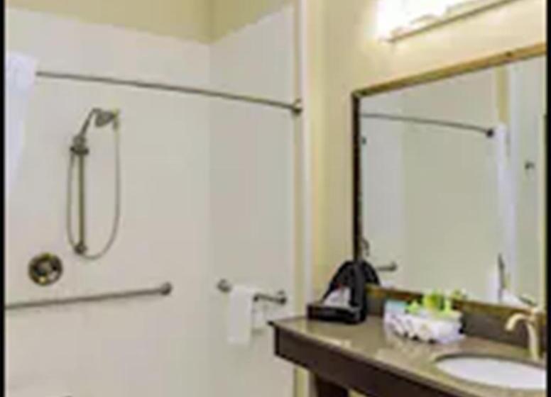 Номер Deluxe Адаптированный для Инвалидов, Holiday Inn Express & Suites Cheektowaga North East, An Ihg