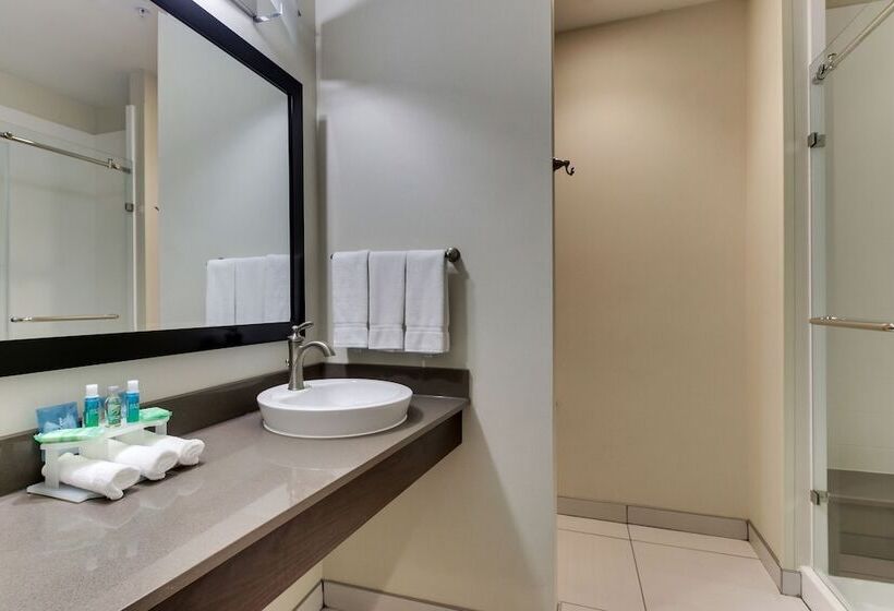 Номер Стандарт, Holiday Inn Express & Suites Cheektowaga North East, An Ihg