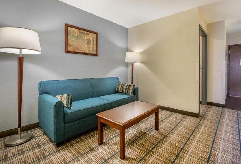Номер Стандарт Адаптированный для Инвалидов, Mainstay Suites Grantville   Hershey North