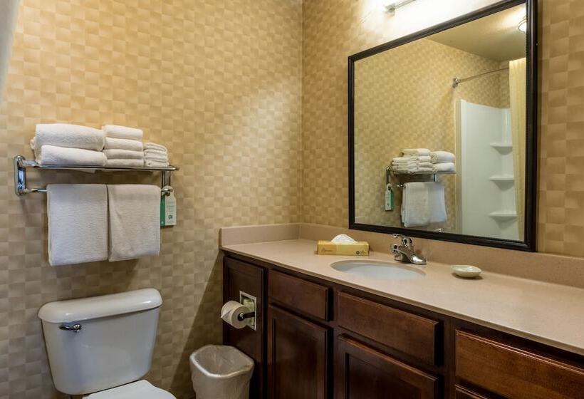 套房, Mainstay Suites St. Robert  Fort Leonard Wood