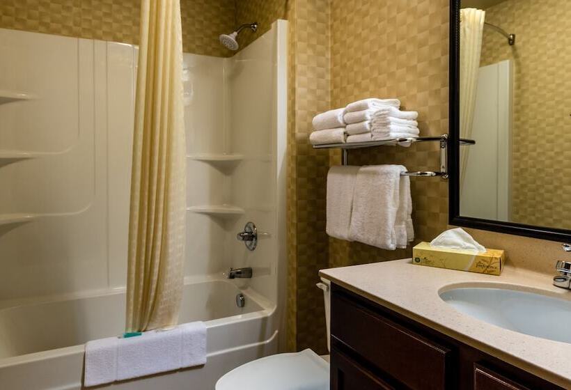 Люкс, Mainstay Suites St. Robert  Fort Leonard Wood