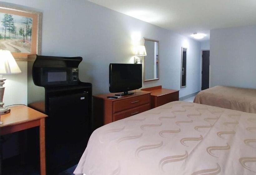 스탠다드 룸 더블 침대 2개, Quality Inn Dublin I81