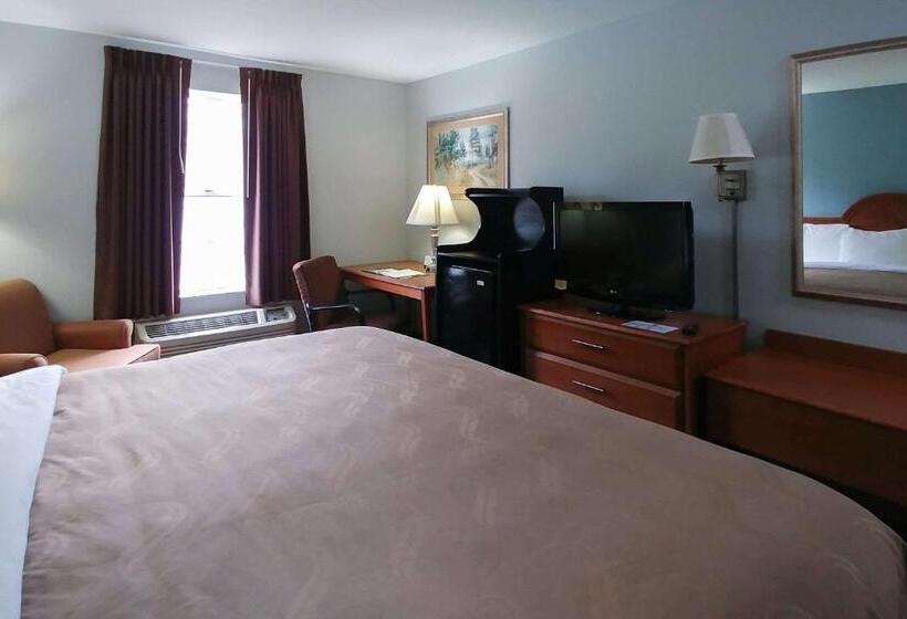 장애인을 위한 킹사이즈 침대 스탠다드 룸, Quality Inn Dublin I81