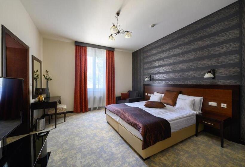 Suite with Terrace, Aurum