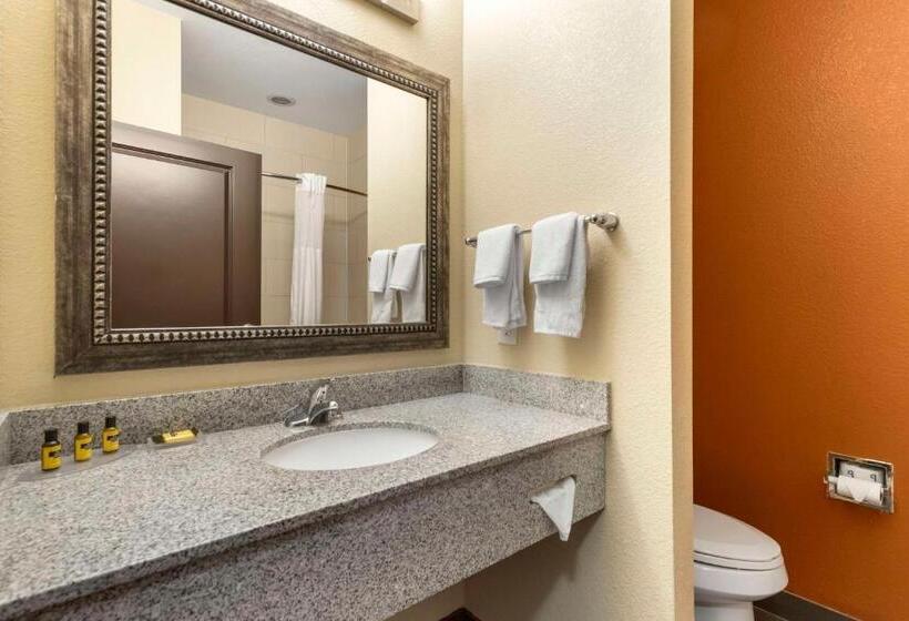 스탠다드 룸 킹사이즈 침대, Best Western Plus Longhorn Inn & Suites