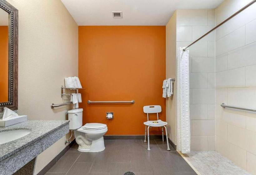 장애인을 위한 킹사이즈 침대 스탠다드 룸, Best Western Plus Longhorn Inn & Suites