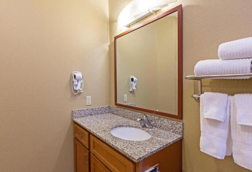 스탠다드 스튜디오, Candlewood Suites Deer Park, An Ihg
