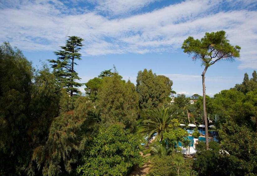 اتاق استاندارد یک نفره, Central Park Terme