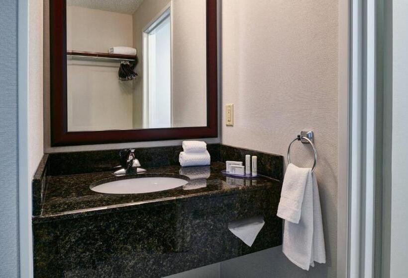 스탠다드 스튜디오 킹침대, Fairfield Inn & Suites Detroit Livonia