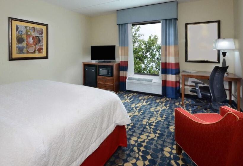 带大床的标准间, Hampton Inn & Suites Lynchburg