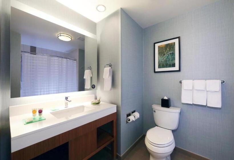 Standard Room Superior Floor, Hyatt Place Flushing/lga Airport