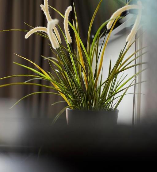 اتاق لوکس با تخت بزرگ, Modern Canal House Loft   City Center