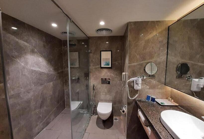 豪华房间, Grand Sarovar Portico, Latur