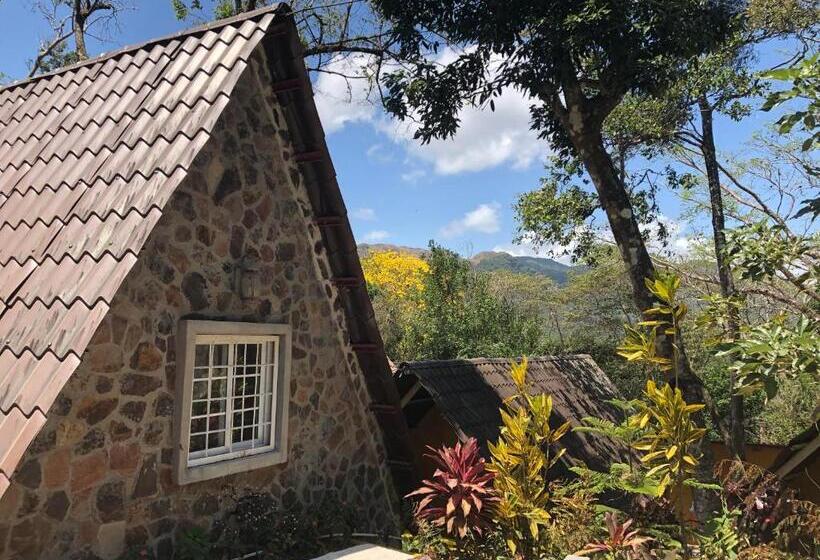 スタンダードスタジオ, Refugio Cariguana