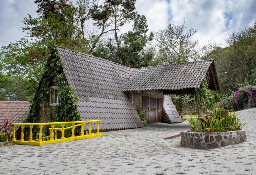 Студия Стандарт, Refugio Cariguana