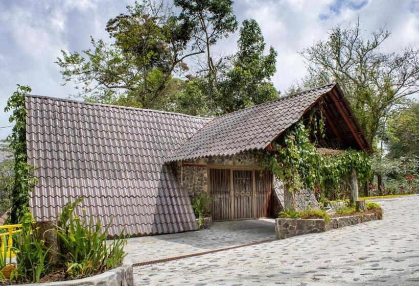 Escritório Estándar, Refugio Cariguana