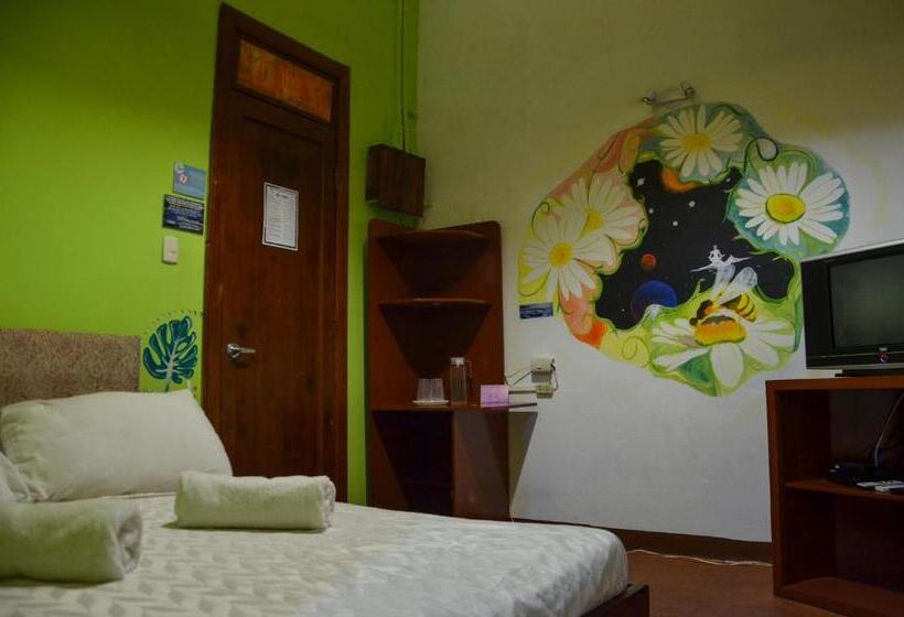 Номер Economy, Manso Boutique Guest House
