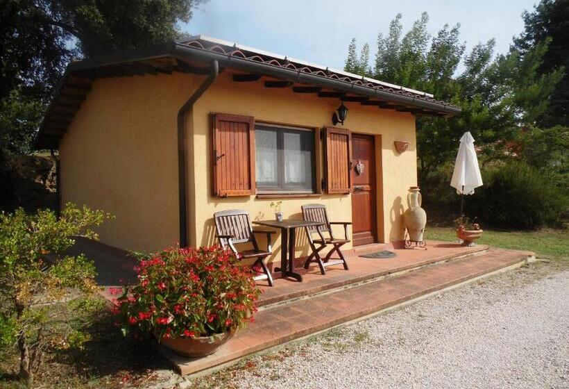 Бунгало Стандарт, Podere Caldaruccio La Pineta