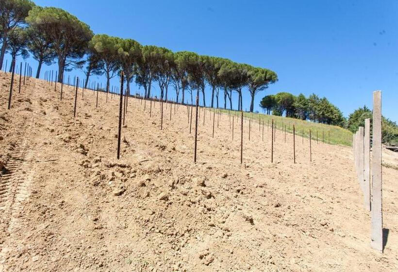 Дом 1 Спальня, Podere Caldaruccio La Pineta