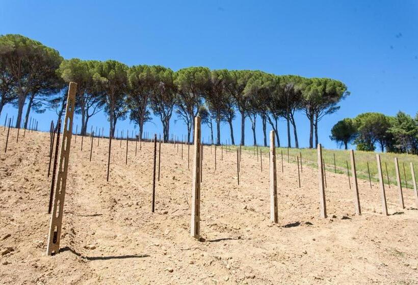 Дом 1 Спальня, Podere Caldaruccio La Pineta