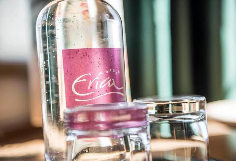 غرفة سوبيريور, Wellnesshotel Erica