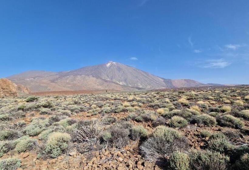 Апартаменты 1 Спальня, Santa Maria Hovima,adeje Ocean View, Tenerife