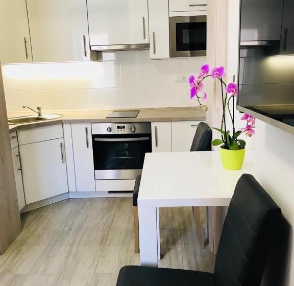 חדר סטודיו סטנדרד, Panorama Apartments
