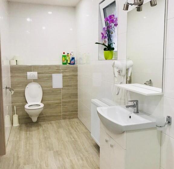 דירת חדר דלוקס, Panorama Apartments