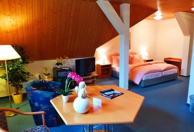 Трехместный Номер Классика, Parkhotel Waldschlösschen
