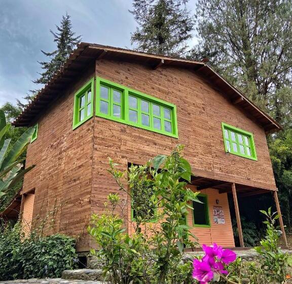اتاق خانوادگی, Avalon Hotel Campestre