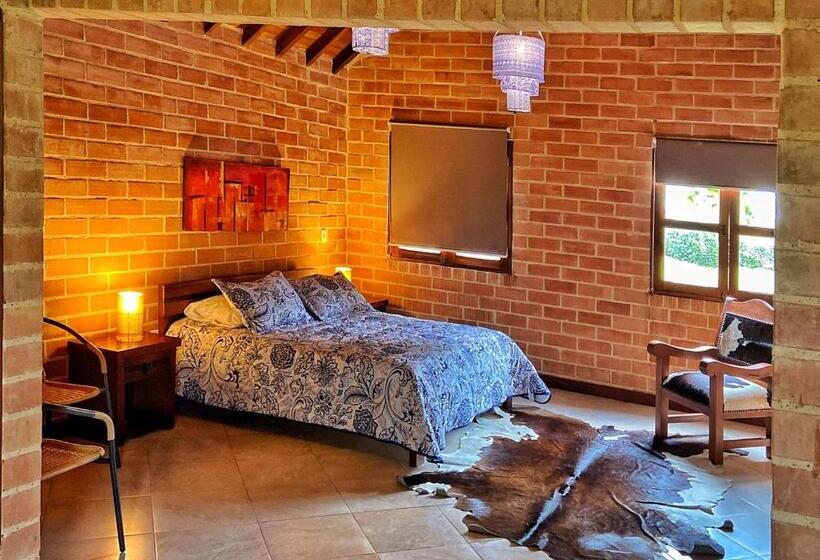 اتاق استاندارد با وان آب گرم, Avalon Hotel Campestre