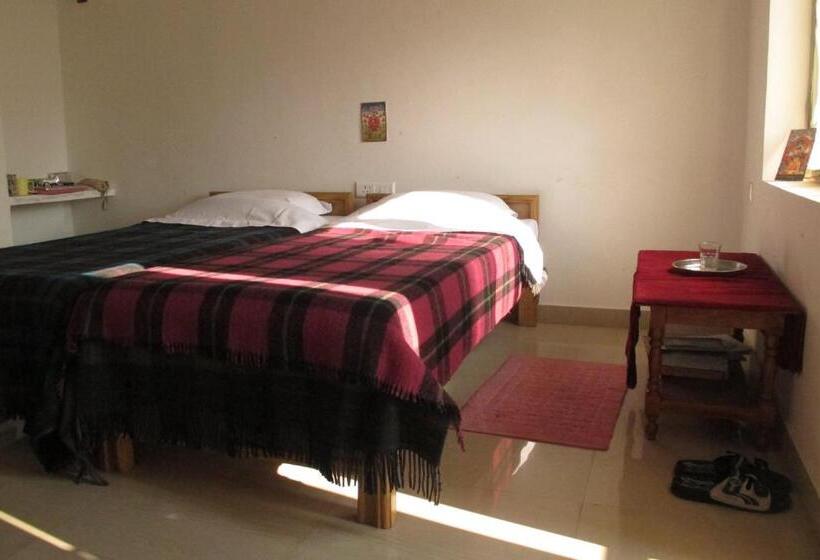 Quarto Estandar, Suma Guest House
