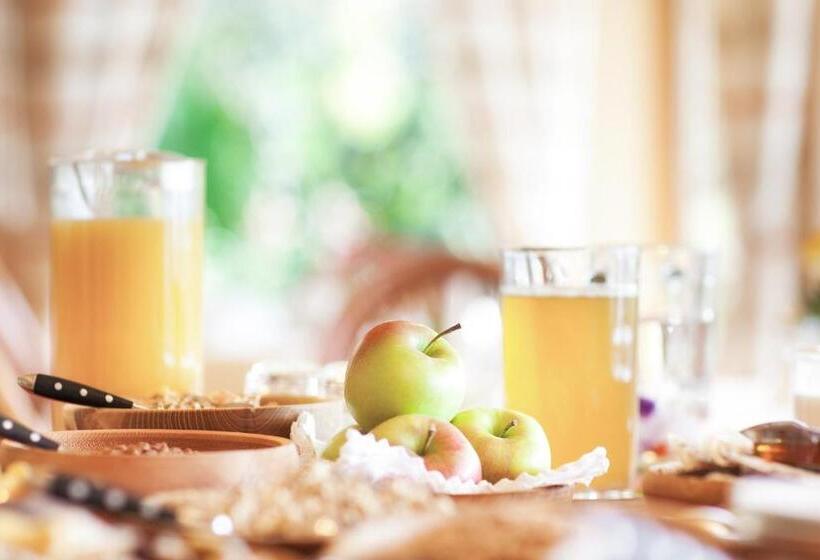 اتاق استاندارد یک نفره, Tirolerhof Pension