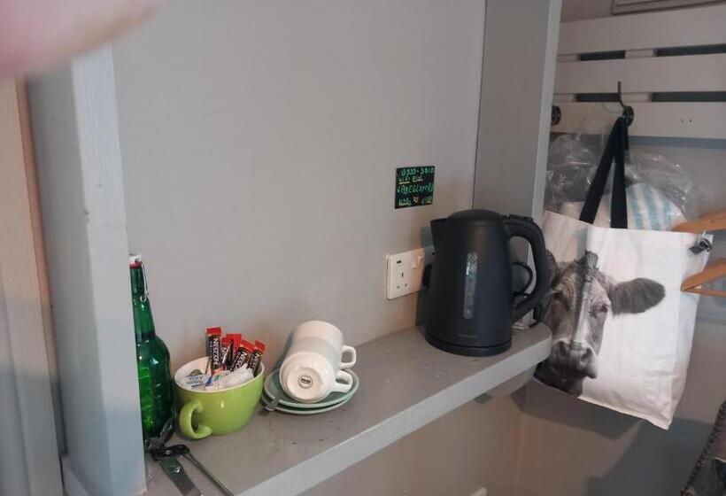 اتاق لوکس با تخت بزرگ, Murphy S Guesthouse