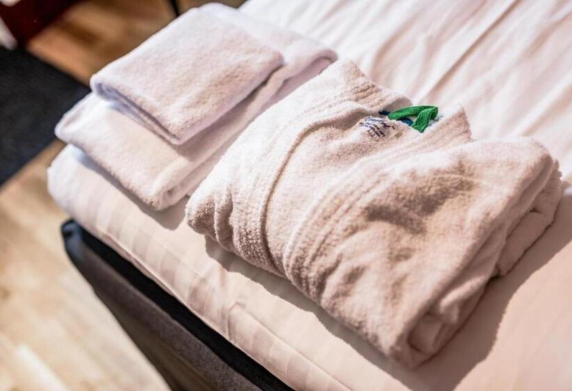 Номер Стандарт Индивидуальный, Hällsnäs Hotell & Restaurang