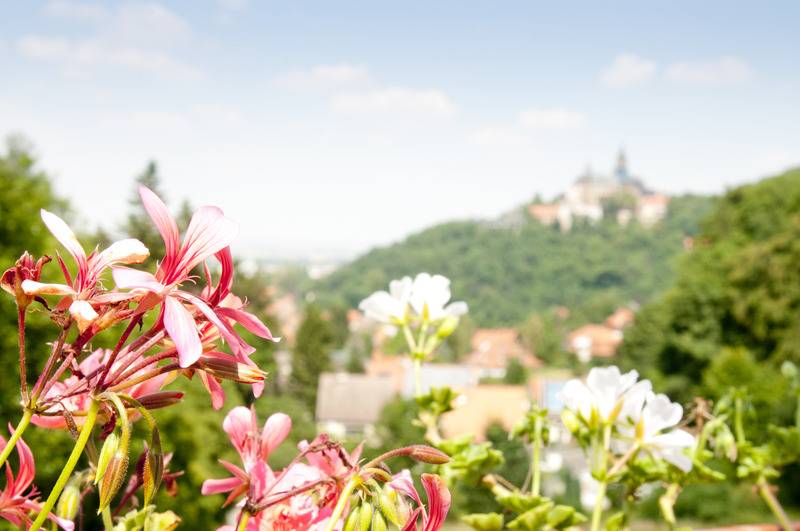 اتاق استاندارد با بالکن, Regiohotel Schanzenhaus Wernigerode