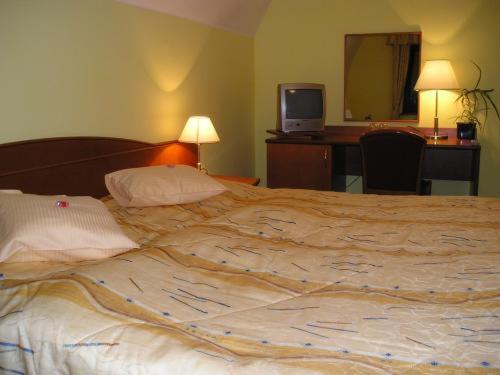 Номер Стандарт, Anna Spa & Wellness Hotel Nejdek