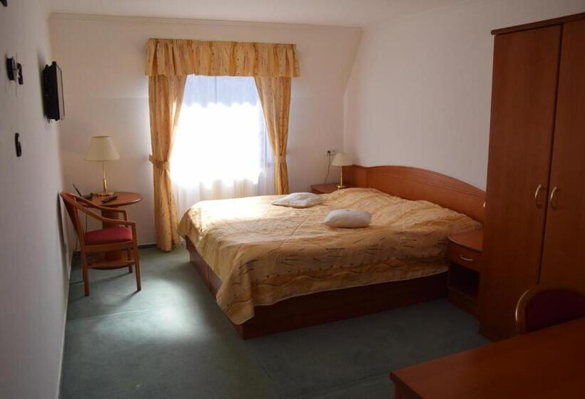 Номер бизнес-класса, Anna Spa & Wellness Hotel Nejdek