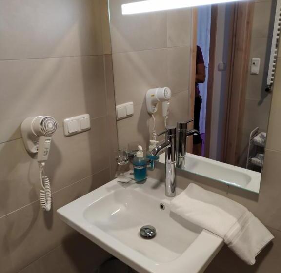 Номер Стандарт Кровать Кинг Адаптированный для Инвалидов, Anna Spa & Wellness Hotel Nejdek