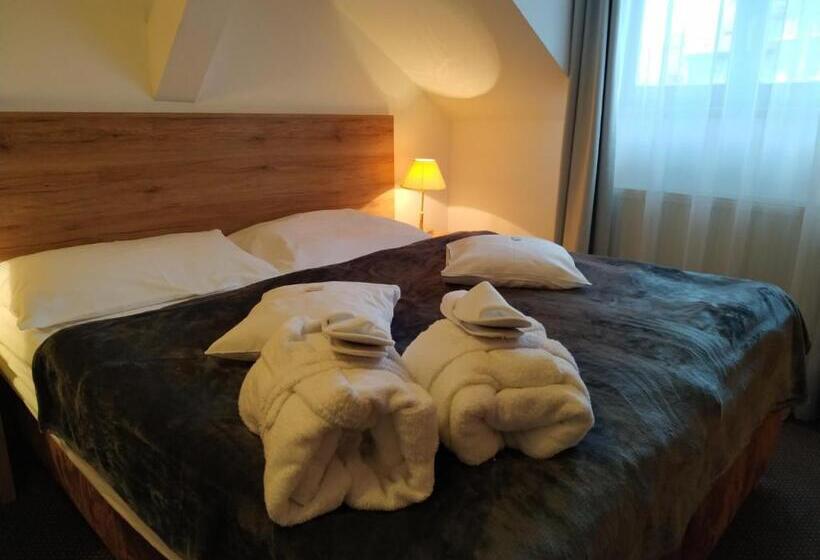 Номер Стандарт с Гидромассажем, Anna Spa & Wellness Hotel Nejdek