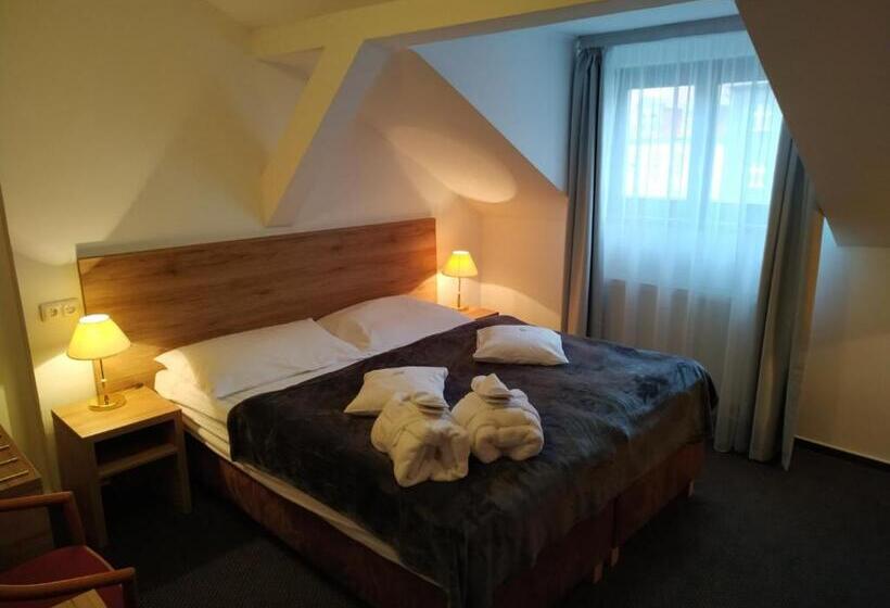 Номер Стандарт, Anna Spa & Wellness Hotel Nejdek