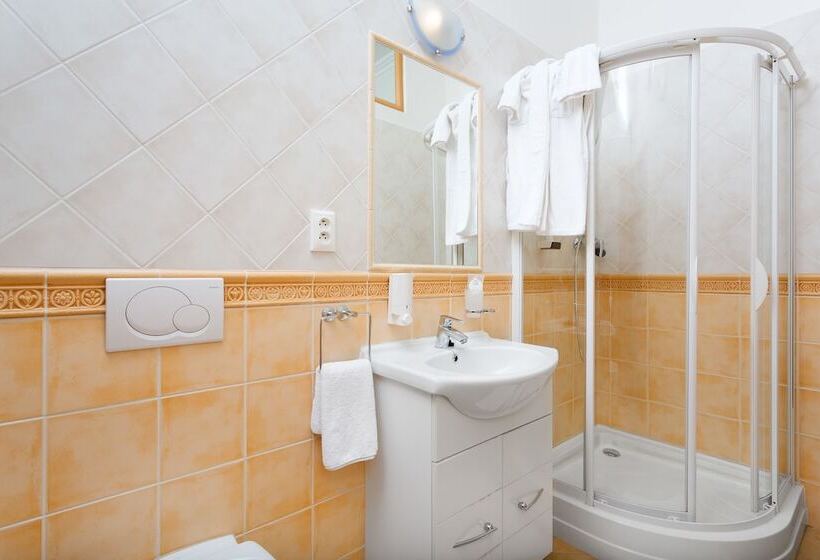 اتاق استاندارد یک نفره, Penzion Hradbova Residence & Spa