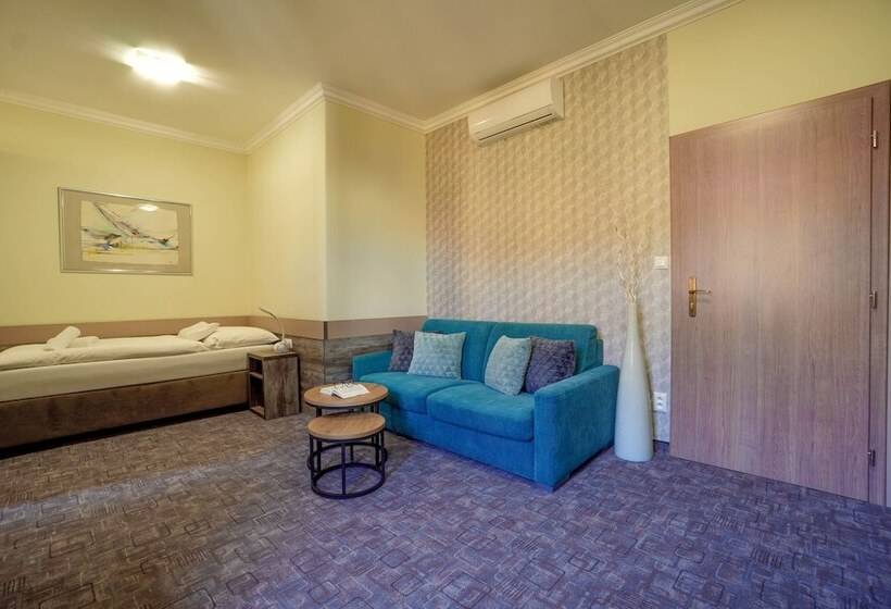 اتاق استاندارد یک نفره, Penzion Hradbova Residence & Spa