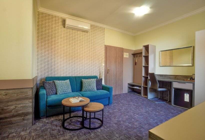 اتاق استاندارد یک نفره, Penzion Hradbova Residence & Spa