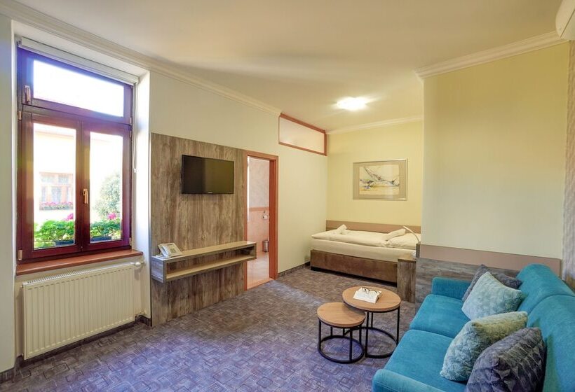 اتاق استاندارد یک نفره, Penzion Hradbova Residence & Spa
