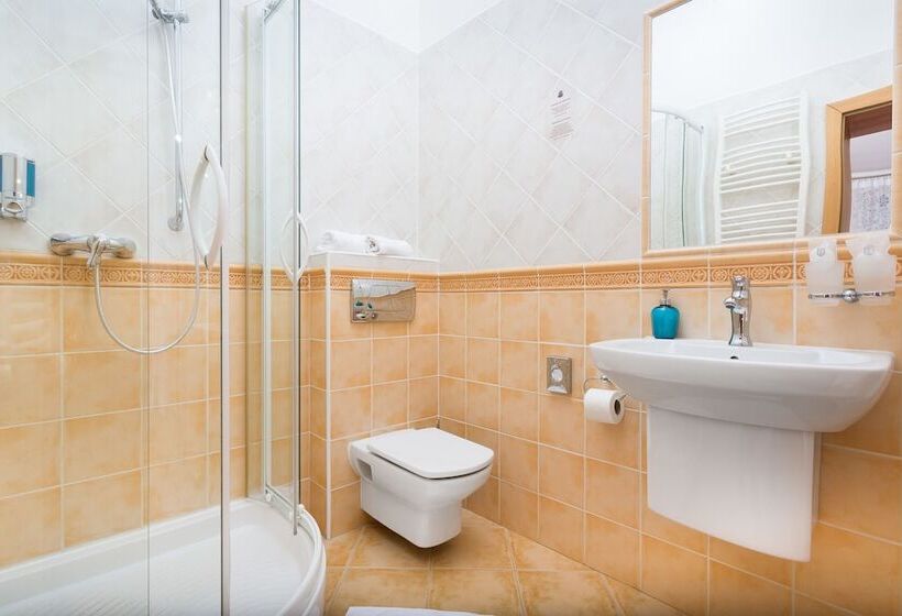 اتاق کلاس بیزنس, Penzion Hradbova Residence & Spa