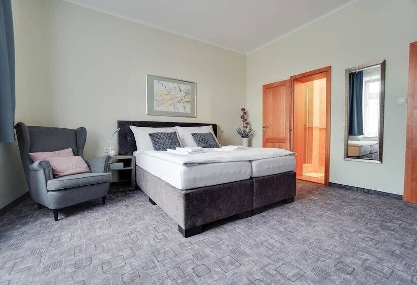 اتاق کلاس بیزنس, Penzion Hradbova Residence & Spa