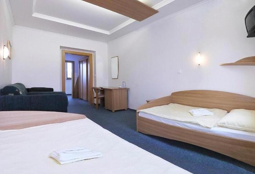 Номер Стандарт, Wellness Penzion Maxim