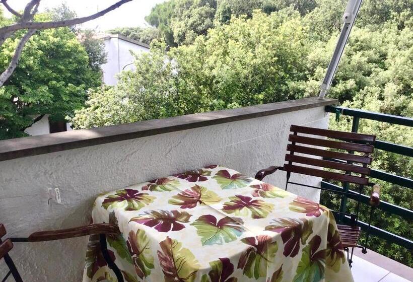 آپارتمان لوکس 2 خوابه, La Coccinella